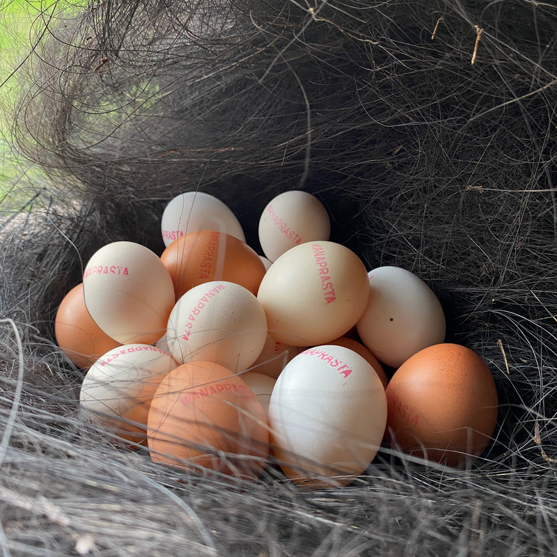Pastured Organic Eggs 10pcs